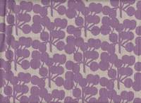 Dolden flieder Dolden flieder