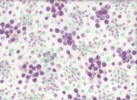 Blueberry double gauze Blueberry double gauze