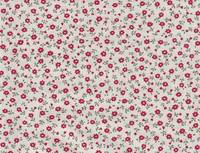 Little flower red Little flower red