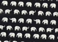 Elefanten groß weiß auf schwarz