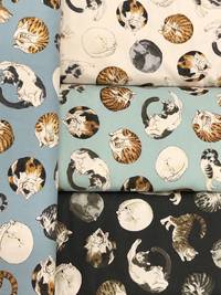 Resting Cats light blue Resting Cats light blue