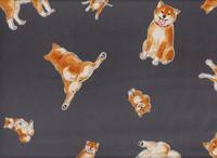 Shiba Inu dunkelgrau Shiba Inu dunkelgrau