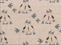 Boobies nature Boobies nature