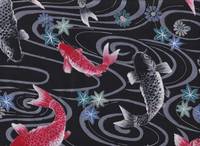 Koi schwarz silber Koi schwarz silber