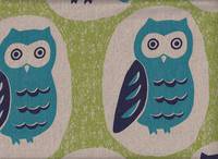 Eule groß grün Eule groß grün