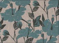 Hibiskus hellblau Hibiskus hellblau