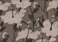 Hibiskus braun Hibiskus braun