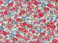 Kiku Okinawa rot Kiku Okinawa rot