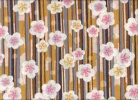 Ume Tatejima karashi Ume Tatejima karashi