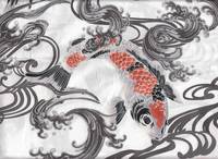 Koi weiß grau Koi weiß grau