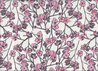 Sakura weiß Sakura weiß