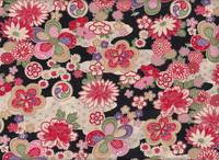 Hana kiku schwarz Hana kiku schwarz