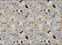 Cute cat blue Cute cat blue