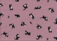 Katze Feline rosa Katze Feline rosa