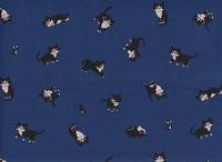 Katze Feline dunkelblau Katze Feline dunkelblau