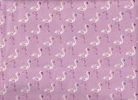 Flamingo rosa Flamingo rosa