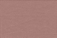 Samekomon sakura Samekomon sakura