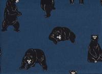 Bären blau Bären blau