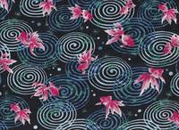 Goldfische schwarz Goldfische schwarz