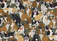 Hundehaufen grün Hundehaufen grün