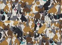 Hundehaufen grau Hundehaufen grau