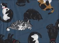 Katzen blau Katzen blau