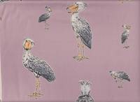 Schuhschnabel rosa Schuhschnabel rosa