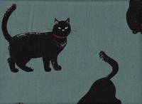 Katzen groß türkis Katzen groß türkis