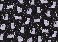 Katzen schwarz Katzen schwarz