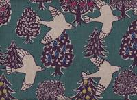 Vogel grau-grün Vogel grau-grün