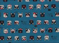 Hund dunkelblau Hund dunkelblau