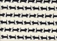 Katzen weiß Katzen weiß