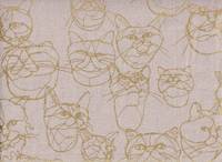 Hayu. Cats Hayu. Cats