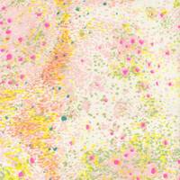 nani IRO BIRDS EYE ranman nani IRO BIRDS EYE ranman