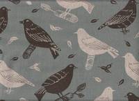 Birdsong hellblau Birdsong hellblau