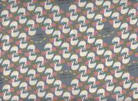 Pelikan grau Pelikan grau