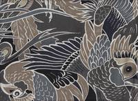 Onagadori schwarz Onagadori schwarz