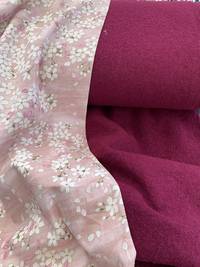 Sakura rosa Sakura rosa