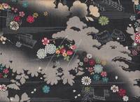 Hana hashi schwarz Hana hashi schwarz