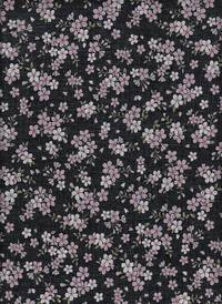 Sakura klein schwarz Sakura klein schwarz