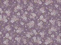 Sakura klein flieder Sakura klein flieder