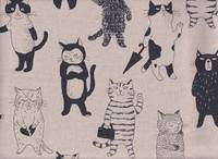 Miyako - Katzen natur Miyako - Katzen natur