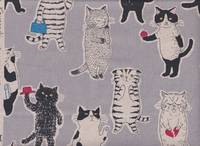 Miyako - Katzen grau Miyako - Katzen grau