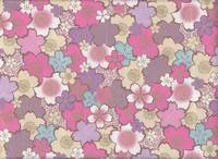 Sakura rosa Sakura rosa