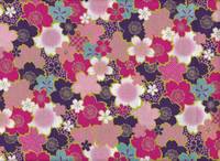 Sakura lila Sakura lila