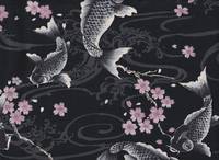 Koi & Sakura schwarz Koi & Sakura schwarz
