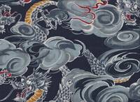 Drachen navy Drachen navy