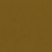 uni dark yellow (Canvas) uni dark yellow (Canvas)