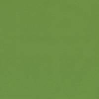 uni green (Canvas) uni green (Canvas)