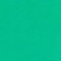 uni mint (Canvas) uni mint (Canvas)